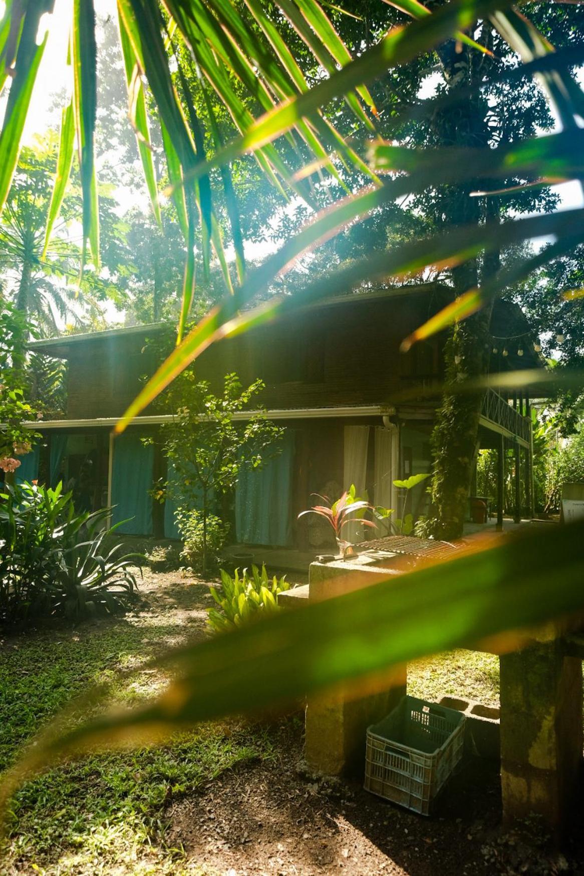 Casa Aldirica Hotel Cahuita Bagian luar foto